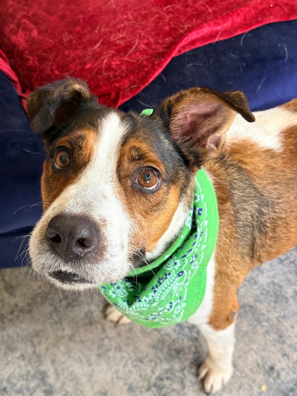 Additional photo of GRIZZ