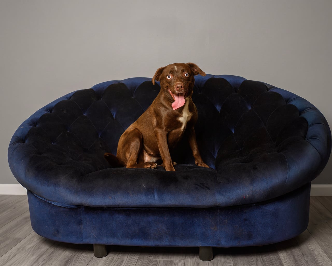 Additional photo of BROWNIE