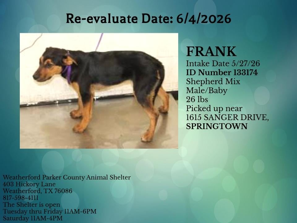 Additional photo of FRANK