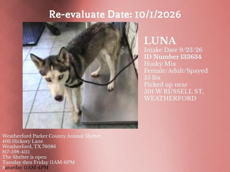 Additional photo of LUNA