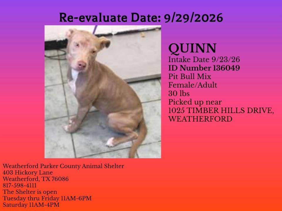 Additional photo of QUINN