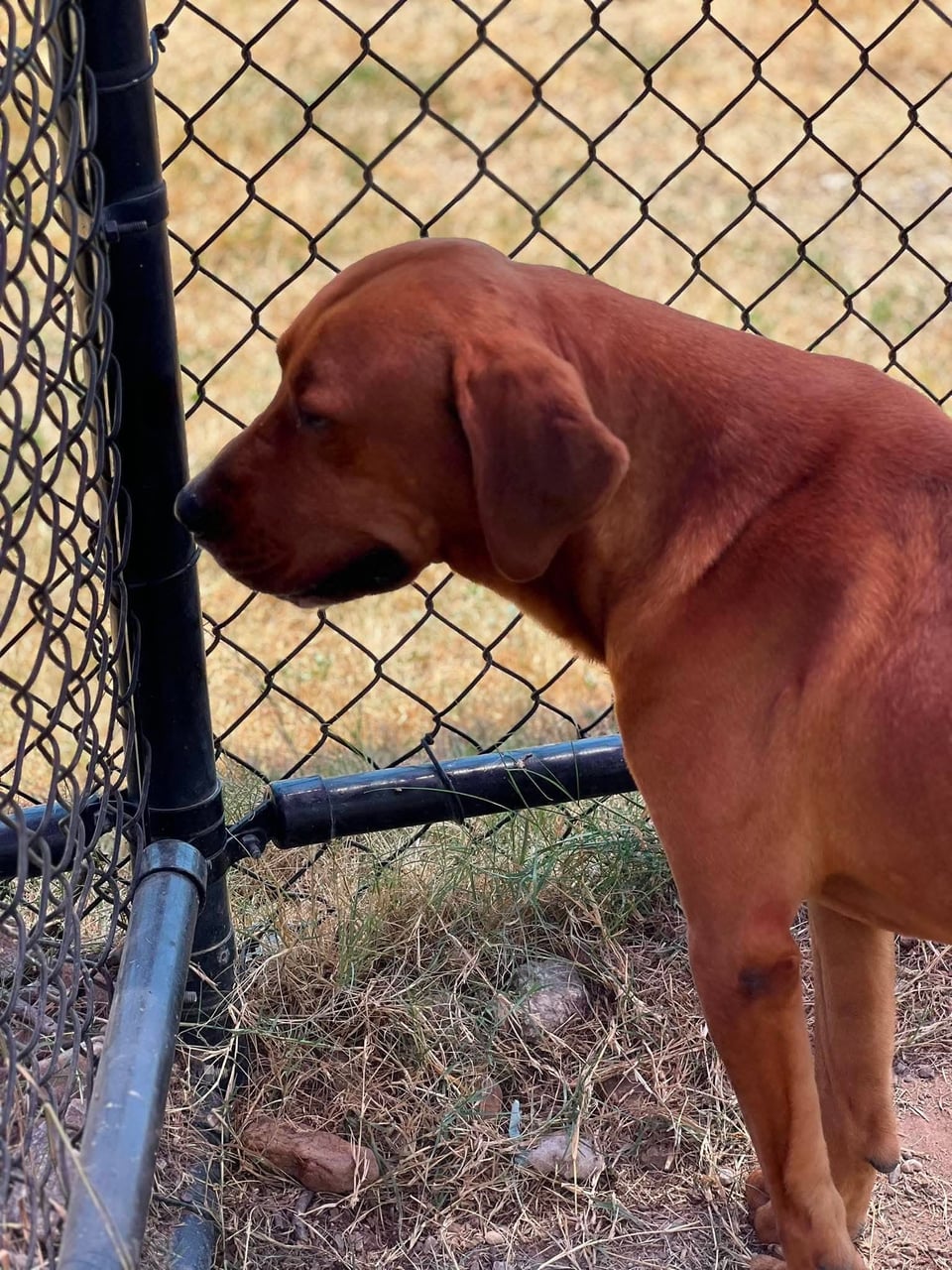 Additional photo of JARVIS