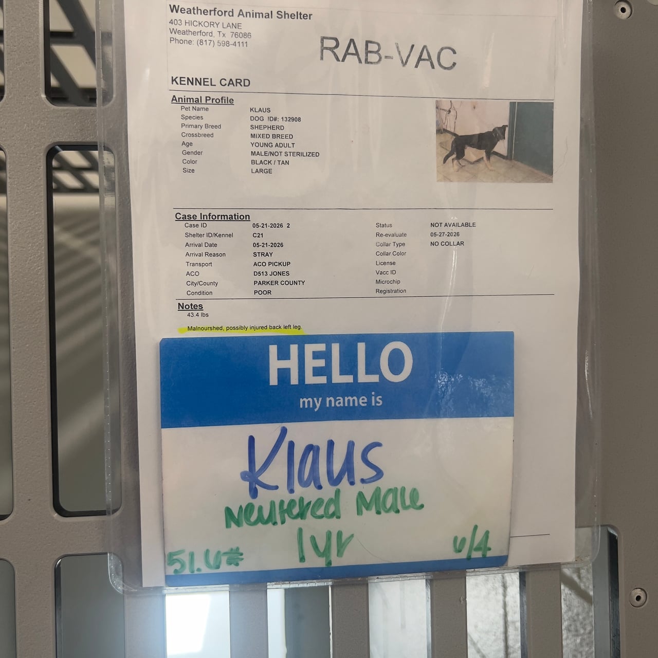 Additional photo of KLAUS