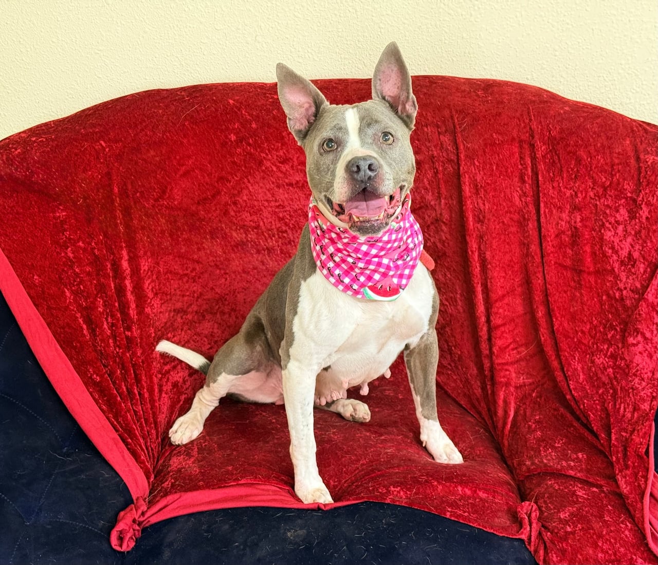 Additional photo of ROXY