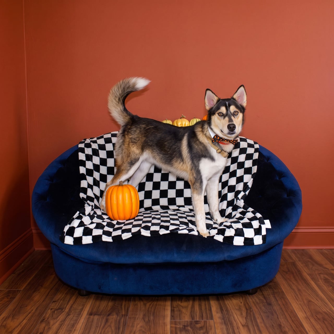 Additional photo of RILO