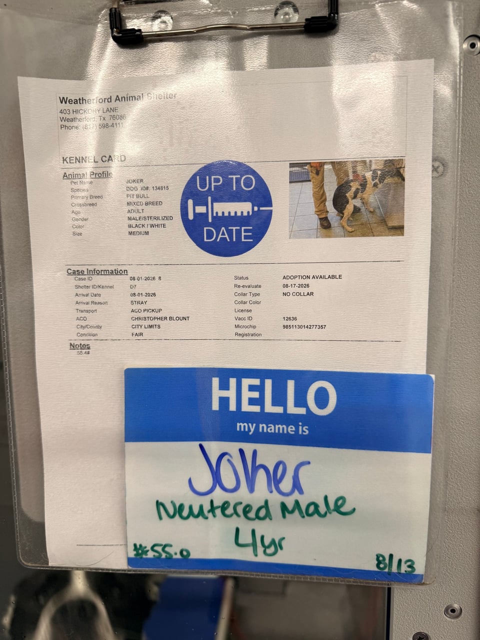 Additional photo of JOKER