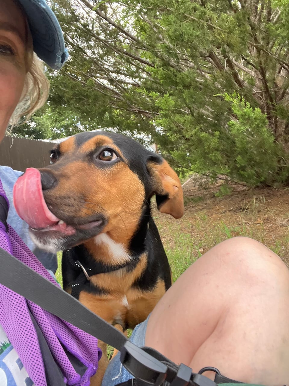 Additional photo of FRANK