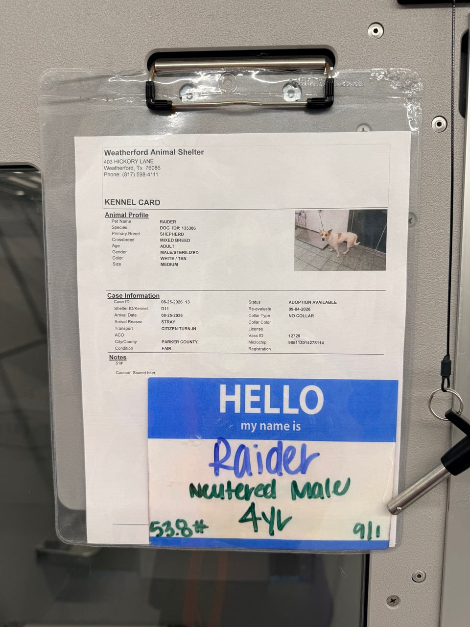 Additional photo of RAIDER