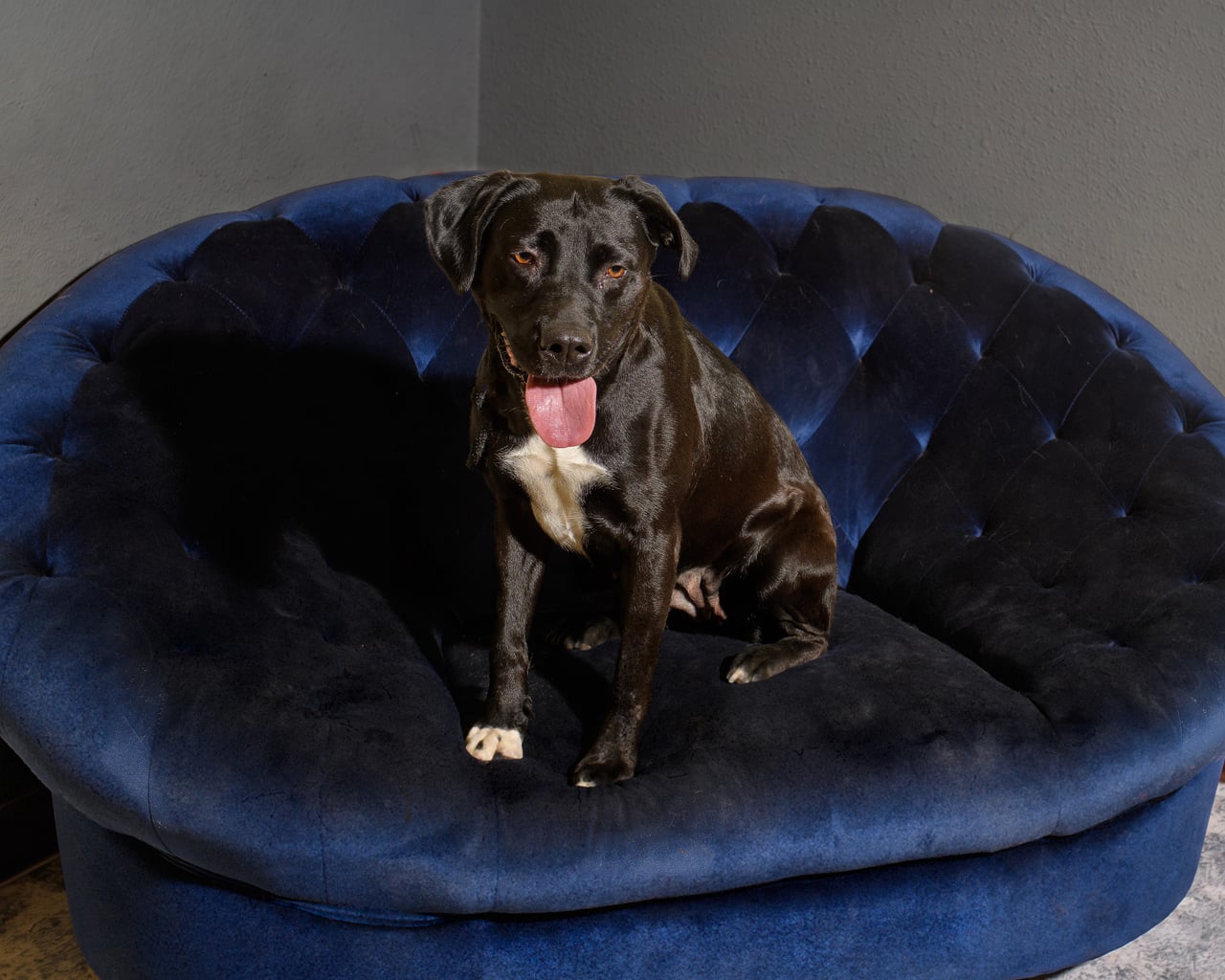 Additional photo of HURLEY