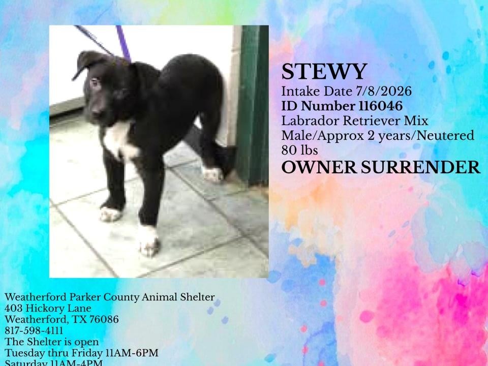 Additional photo of STEWY
