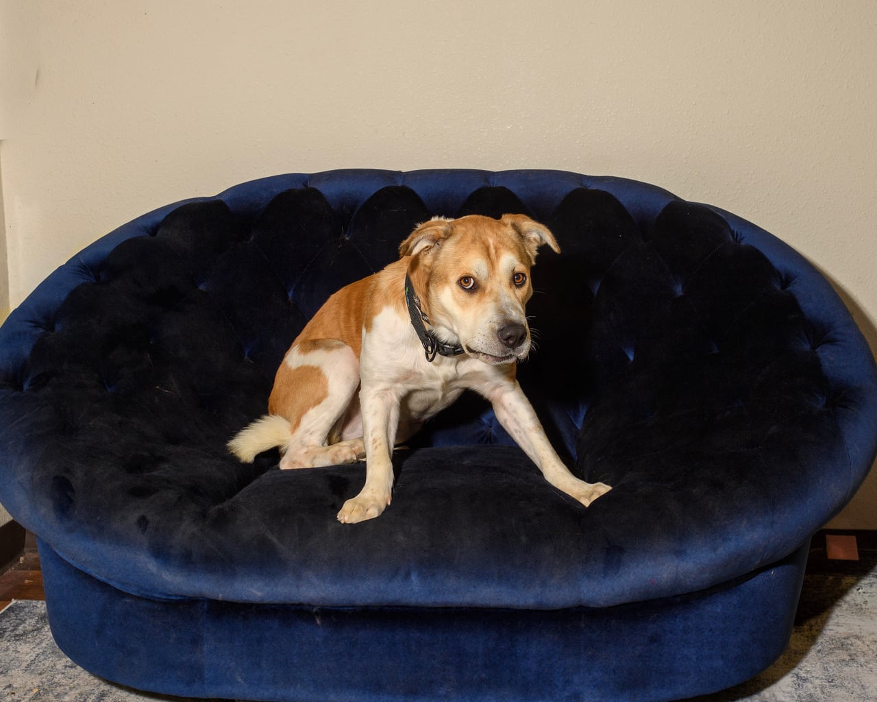 Additional photo of RUSTY