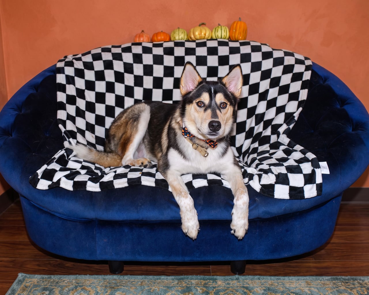 Additional photo of RILO