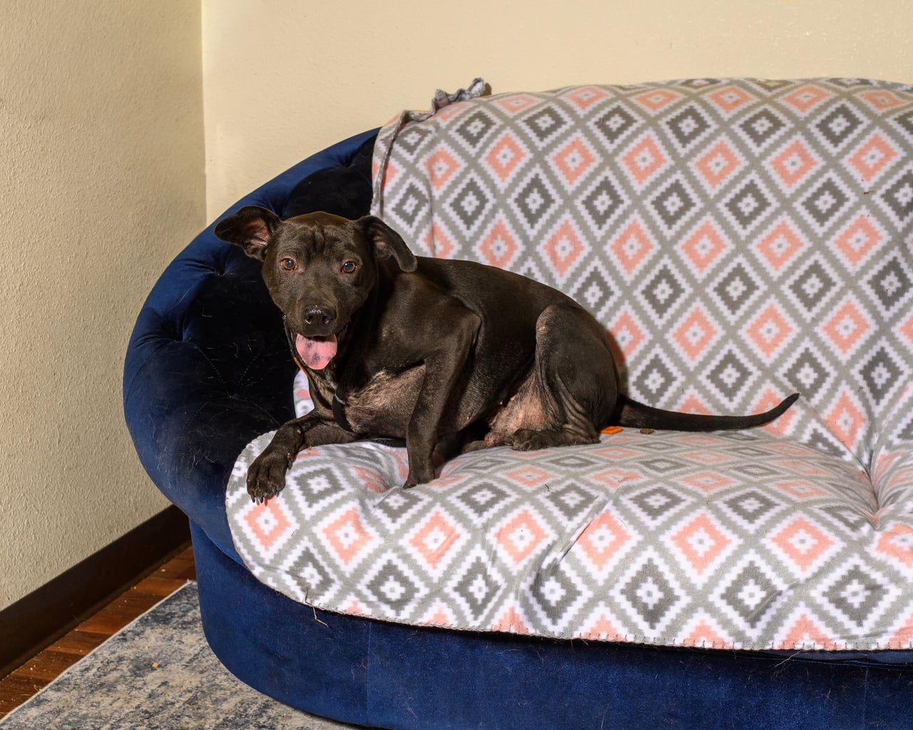 Additional photo of BUENO