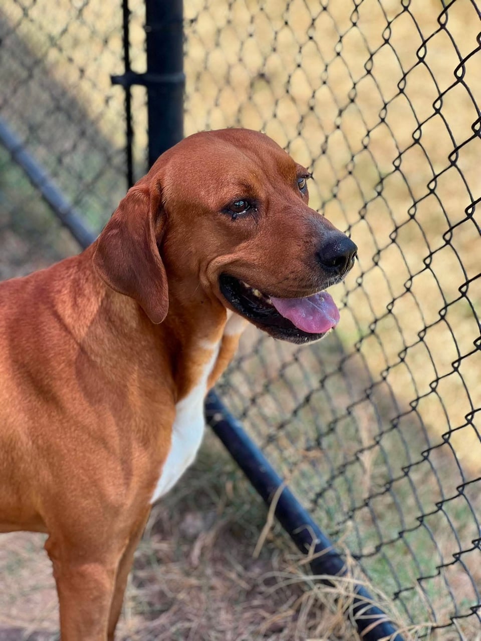 Additional photo of JARVIS