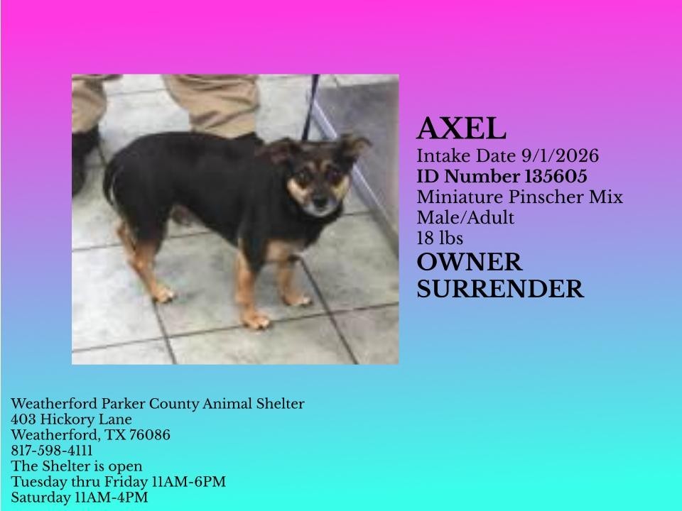 Additional photo of AXEL