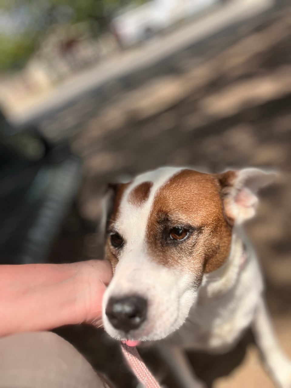 Additional photo of DUNCAN