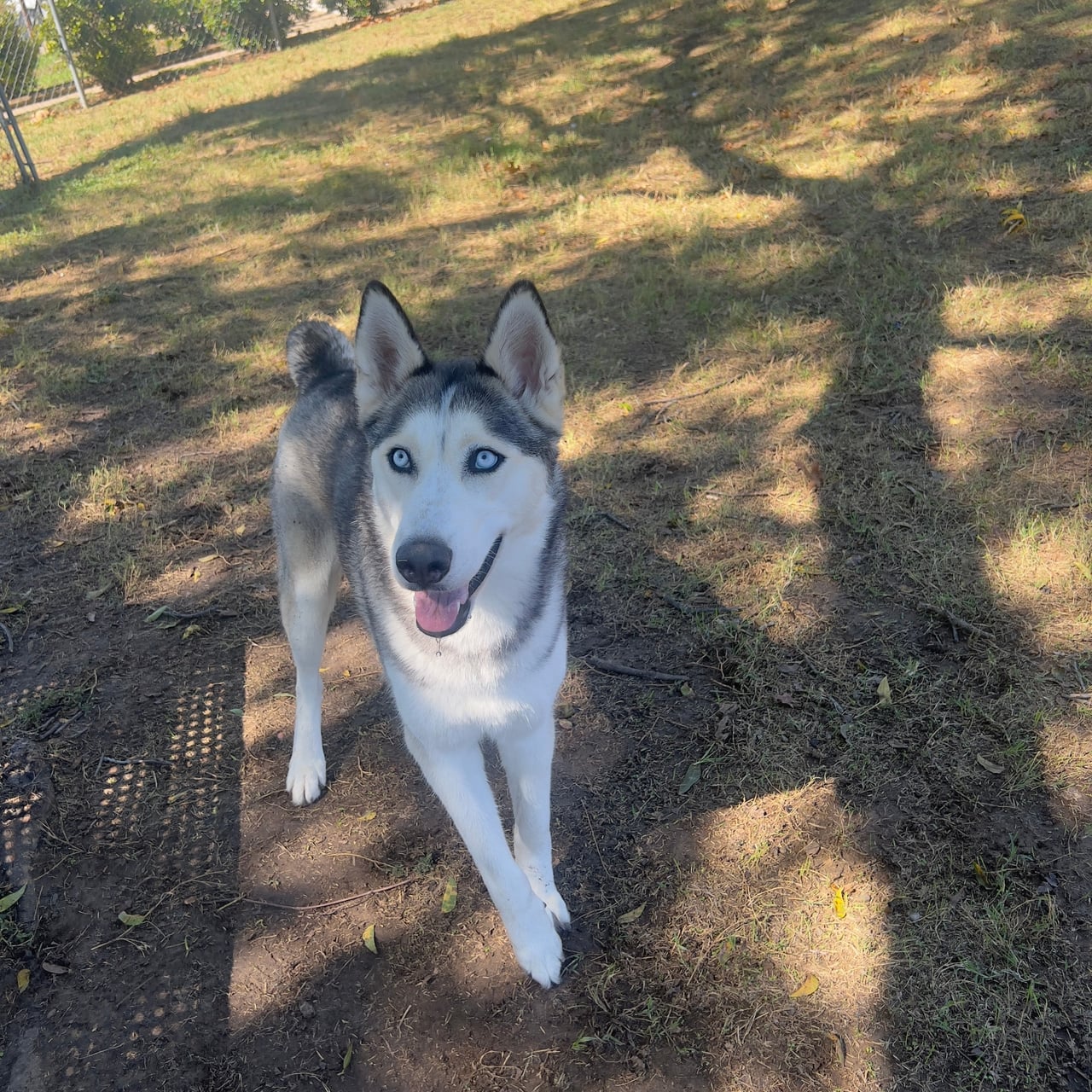 Additional photo of LUNA