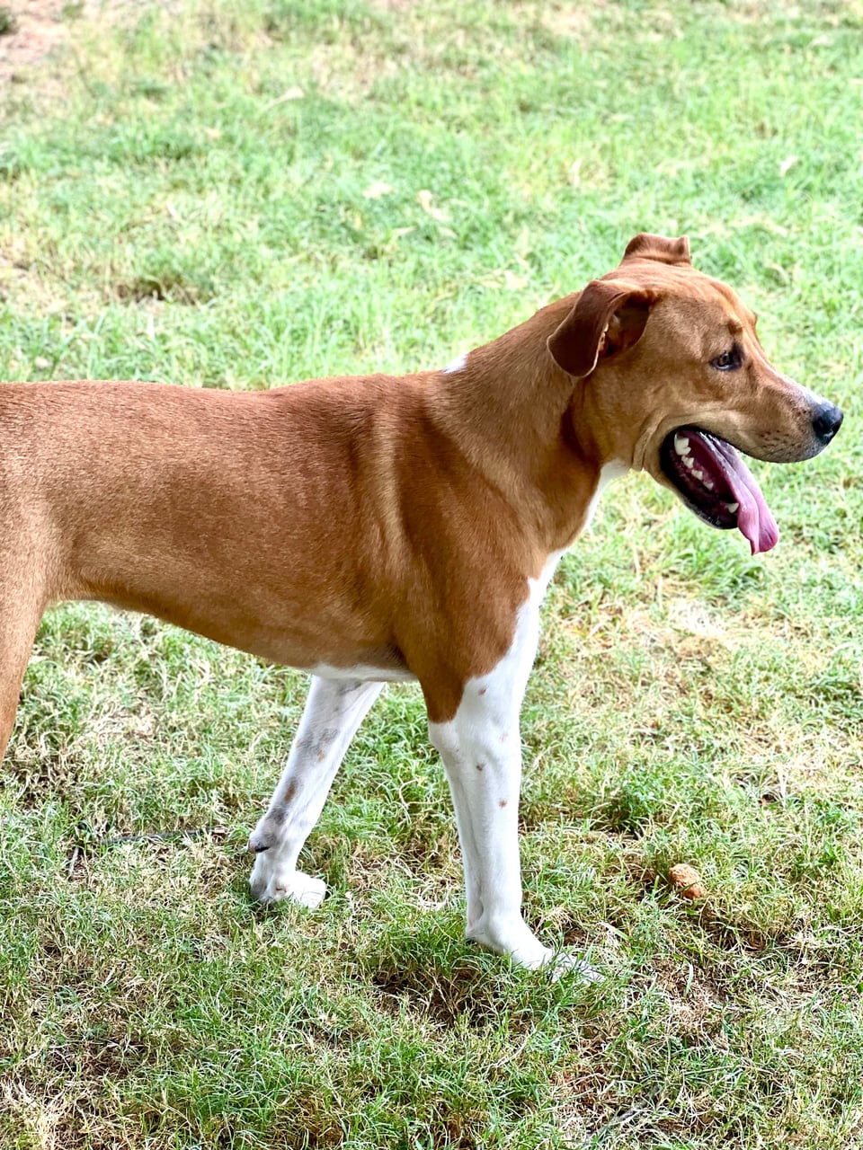 Additional photo of GUMBO