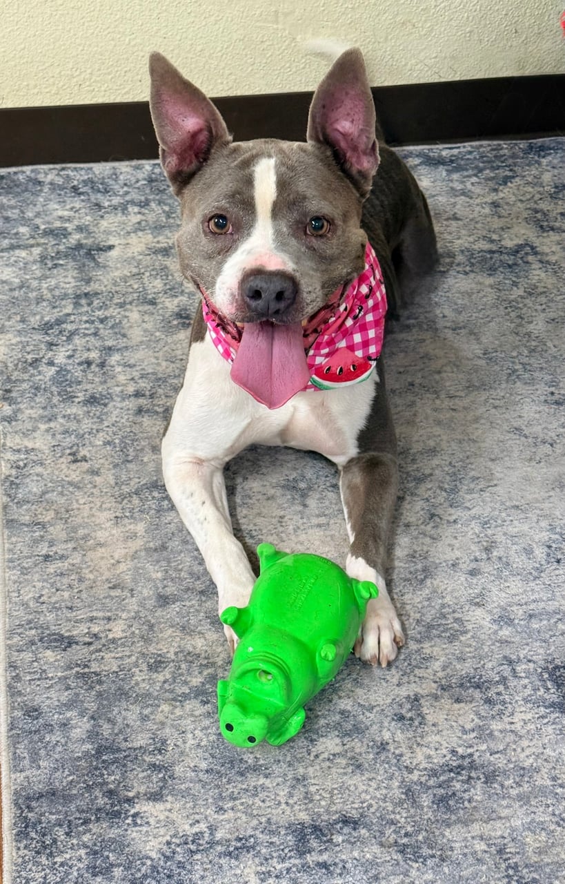 Additional photo of ROXY