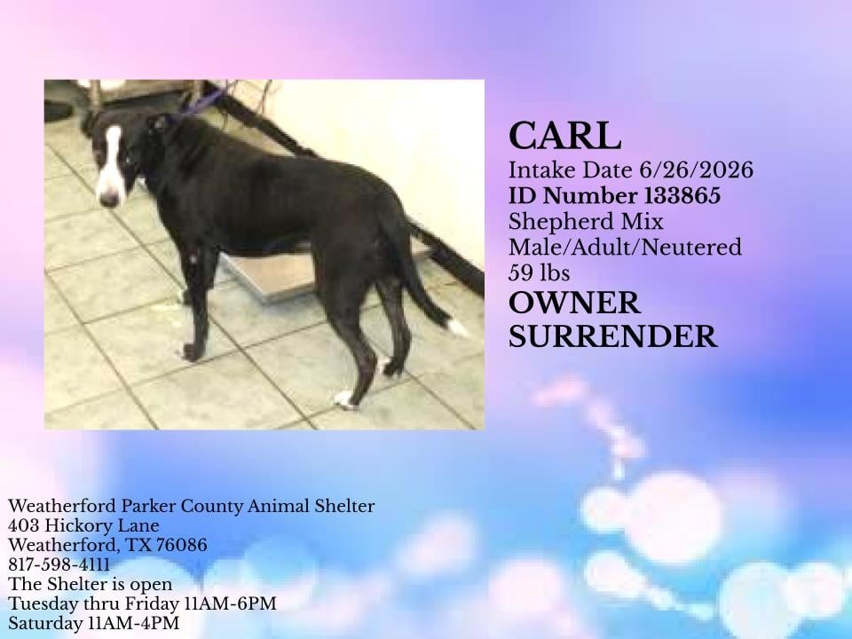 Additional photo of CARL