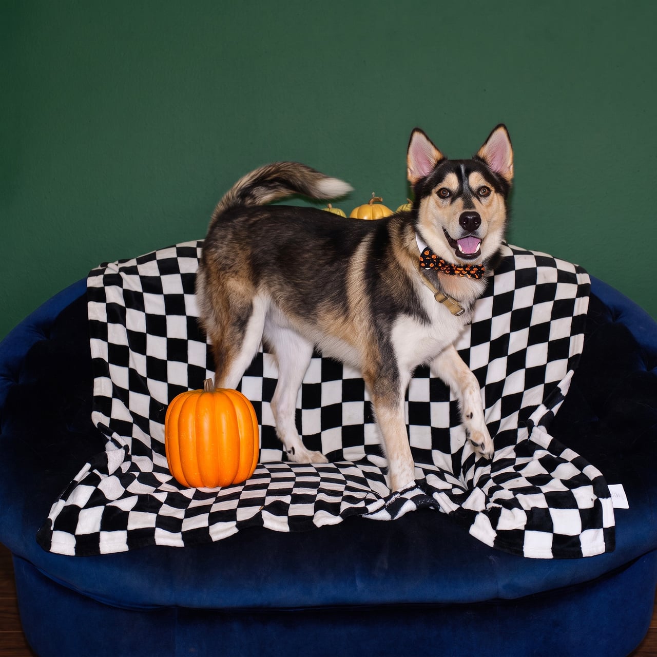 Additional photo of RILO