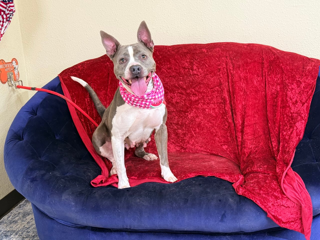 Additional photo of ROXY