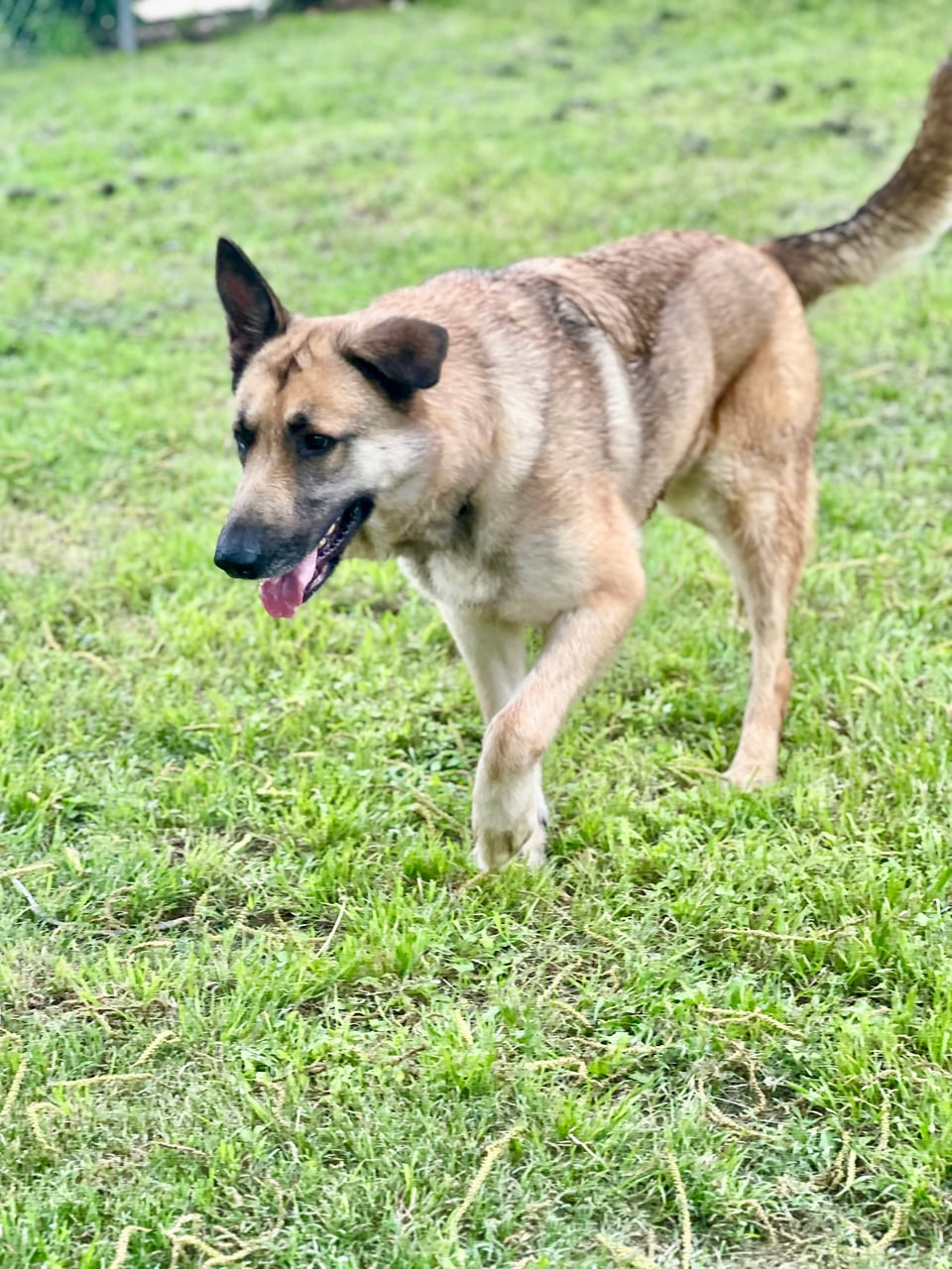 Additional photo of ELECTRA