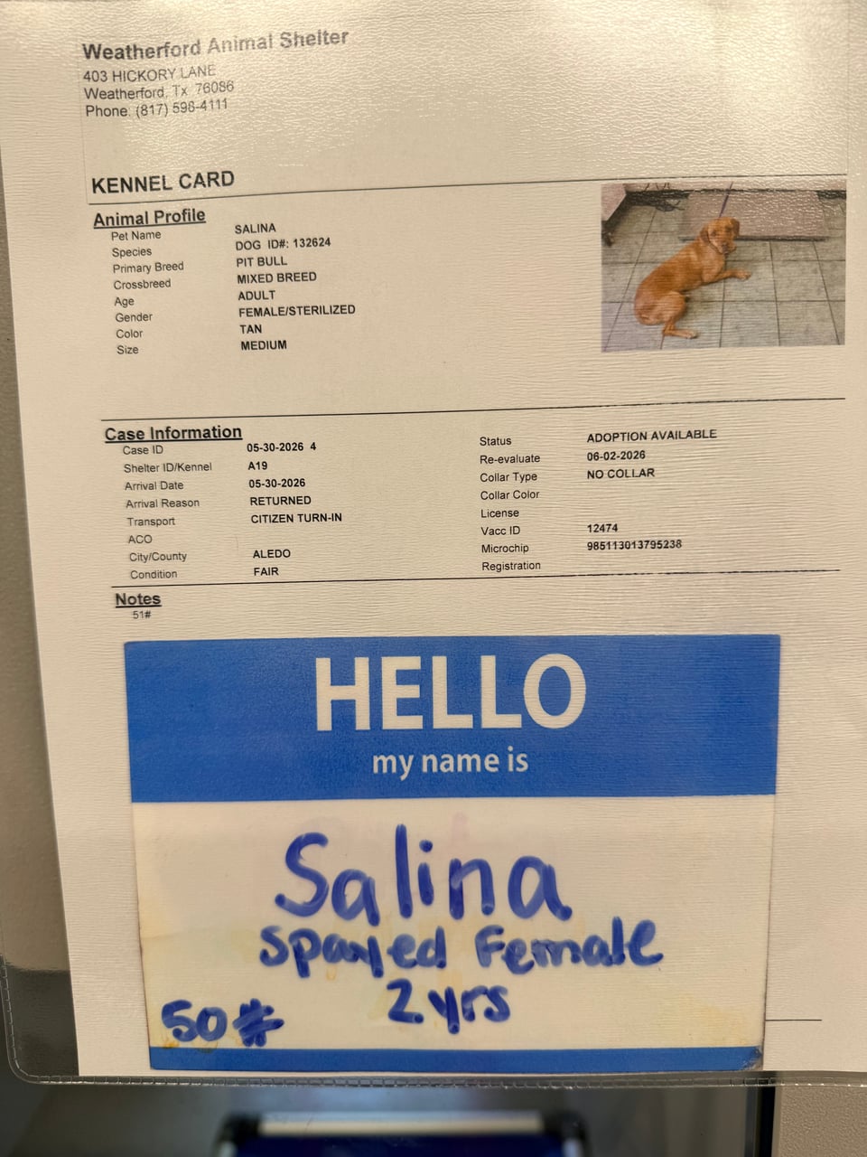 Additional photo of SALINA