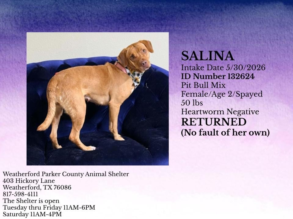 Additional photo of SALINA