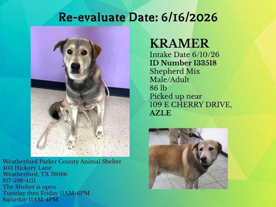 Additional photo of KRAMER