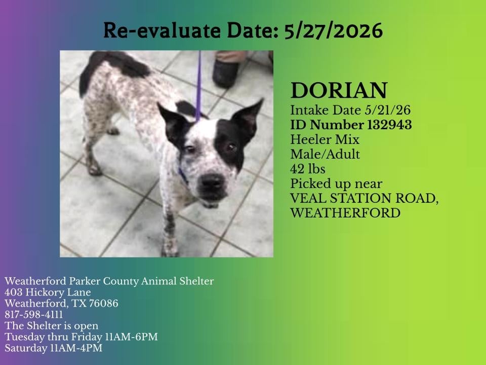 Additional photo of DORIAN