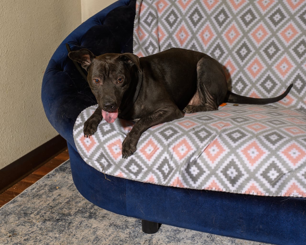 Additional photo of BUENO