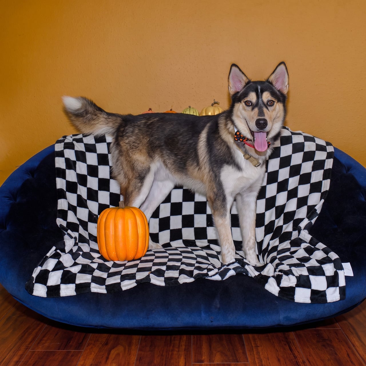Additional photo of RILO