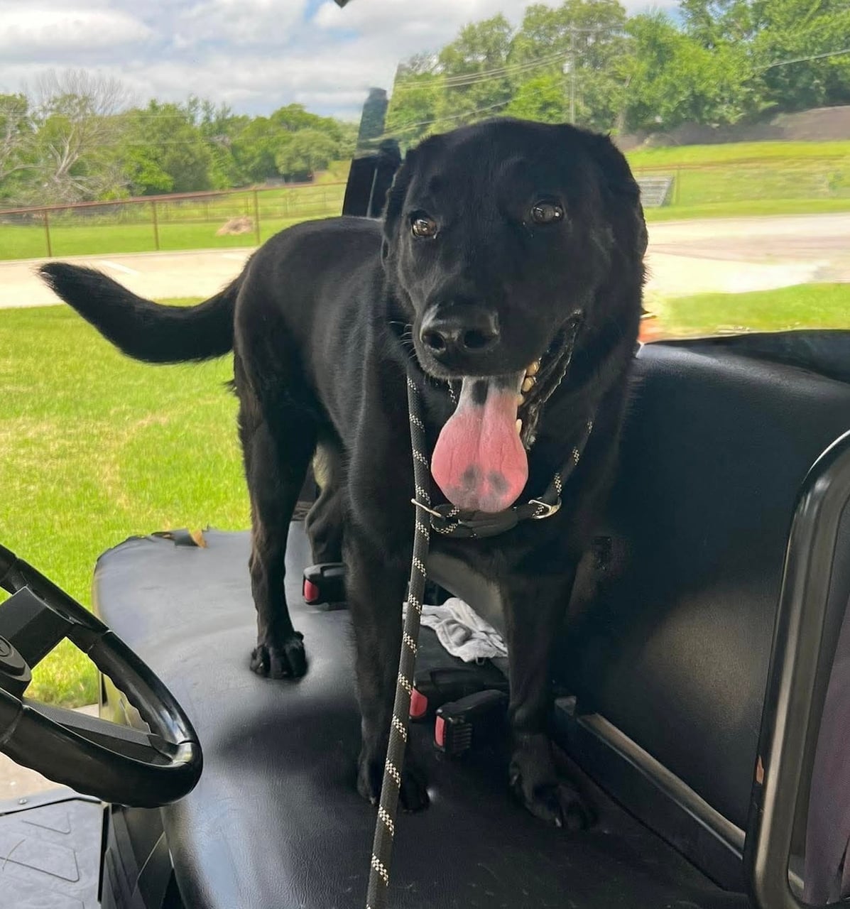 Additional photo of SHADOW