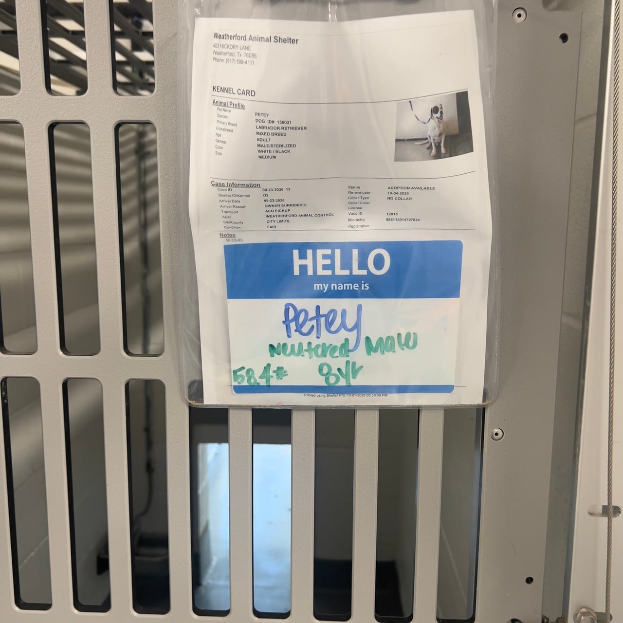 Additional photo of PETEY