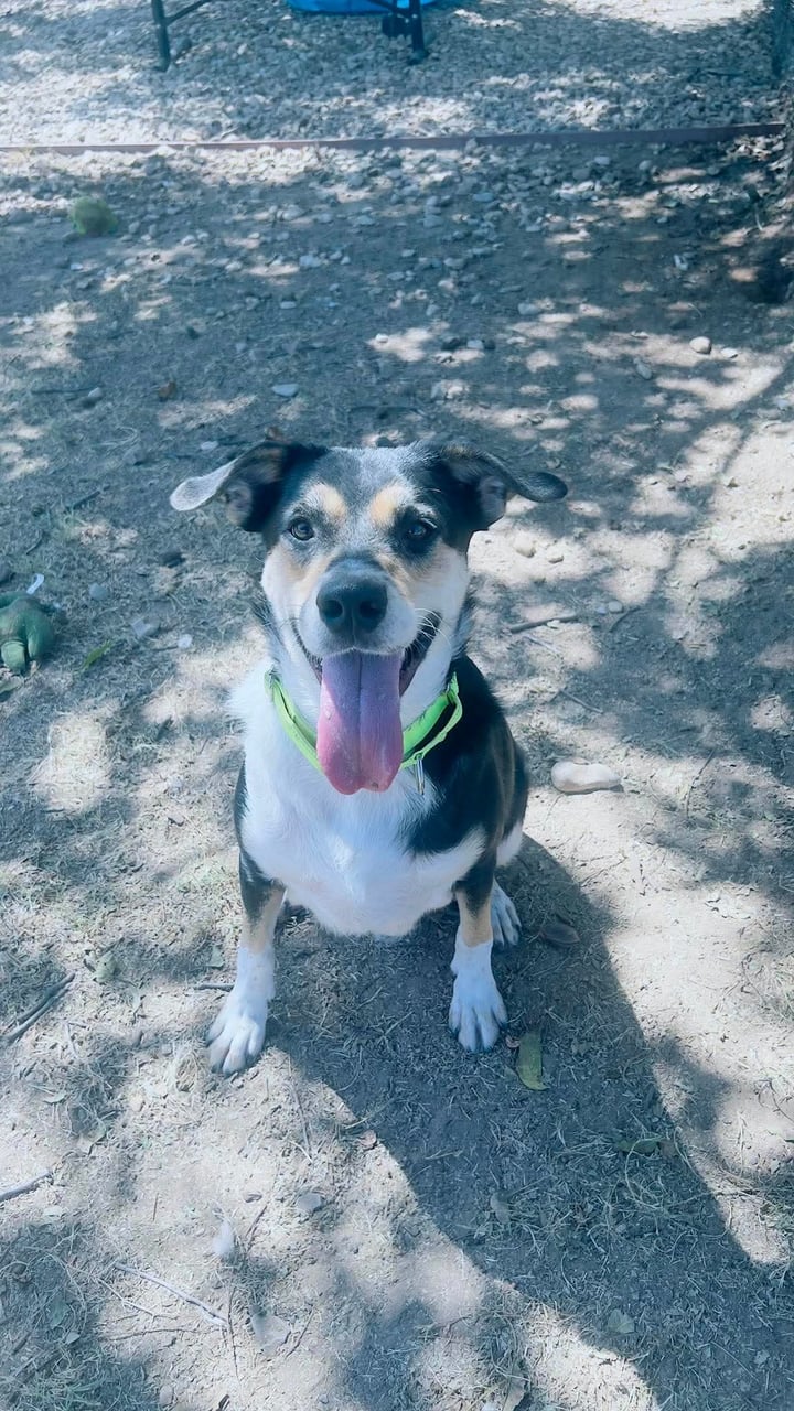 Additional photo of DOBY