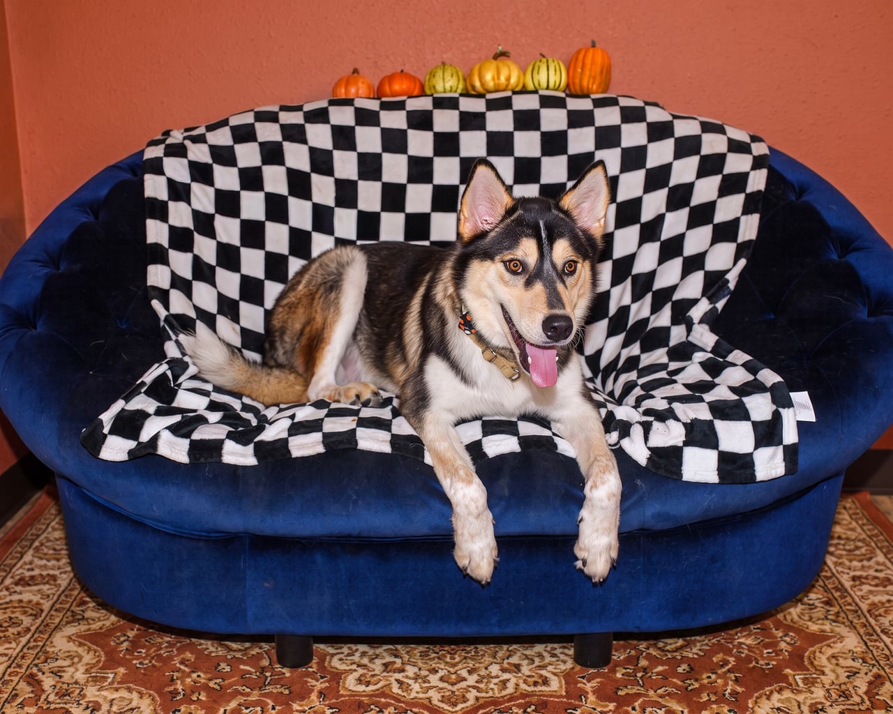 Additional photo of RILO