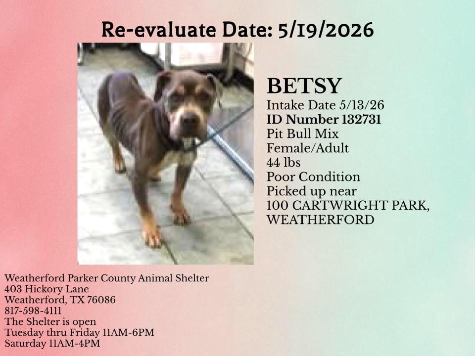 Additional photo of BETSY