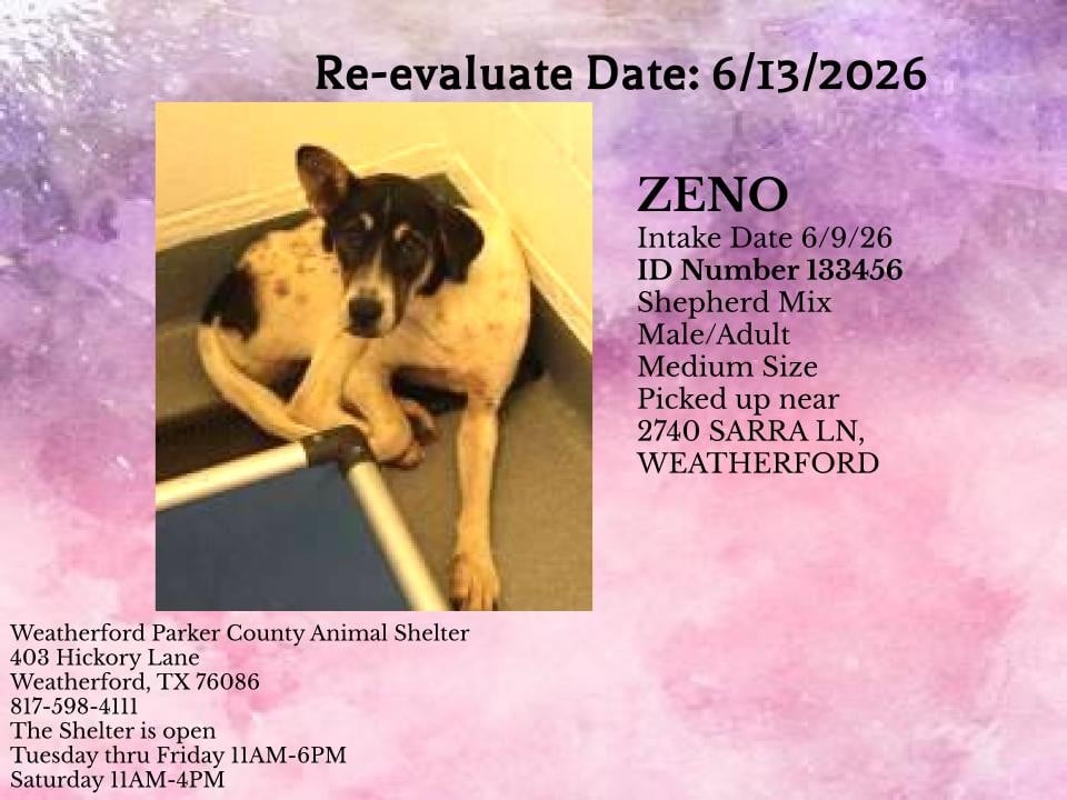 ZENO, a Hound
