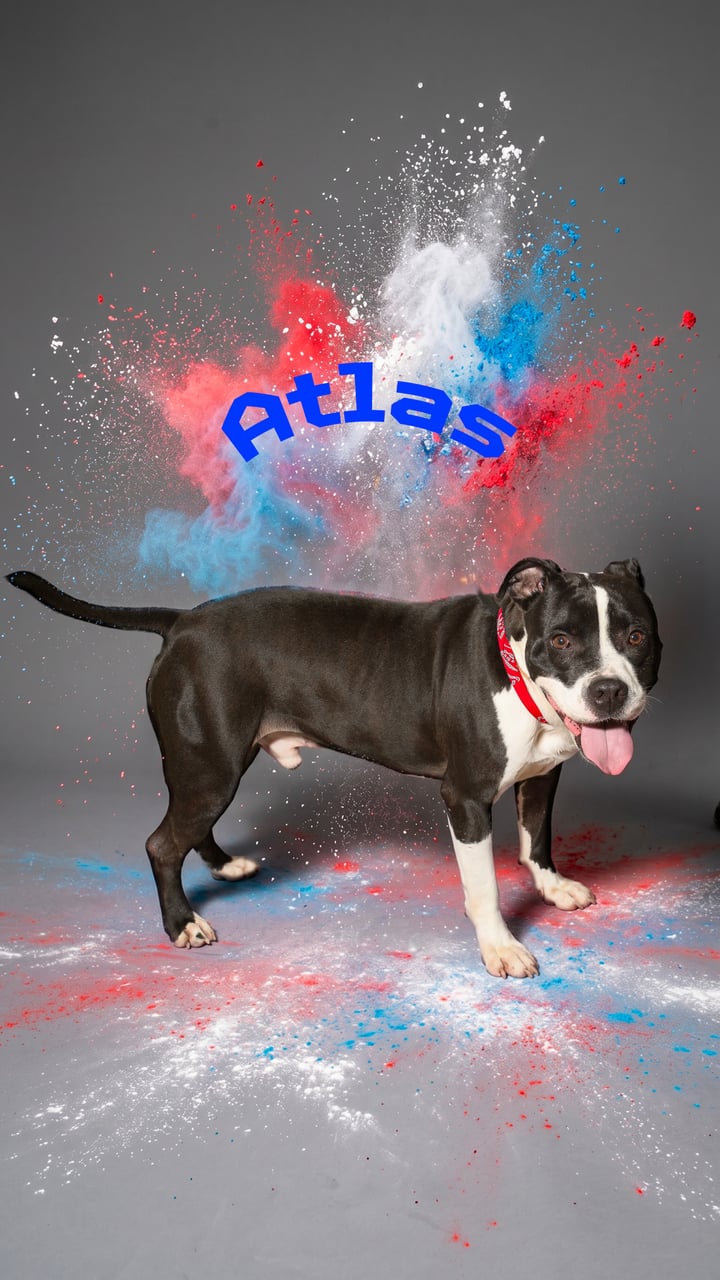 Additional photo of ATLAS