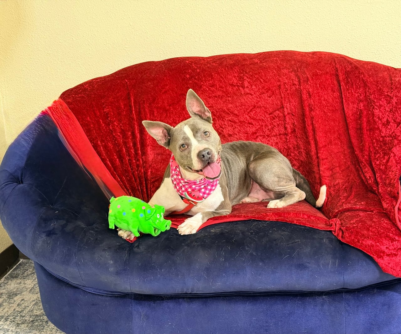 Additional photo of ROXY