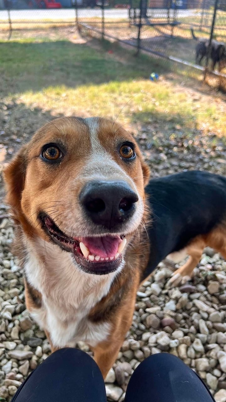 Additional photo of BINGO