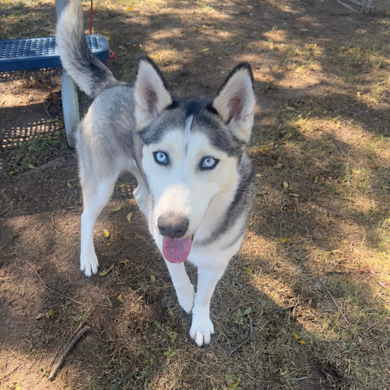 Additional photo of LUNA