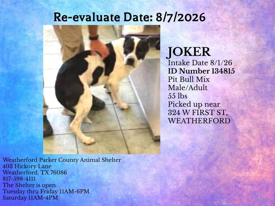 Additional photo of JOKER