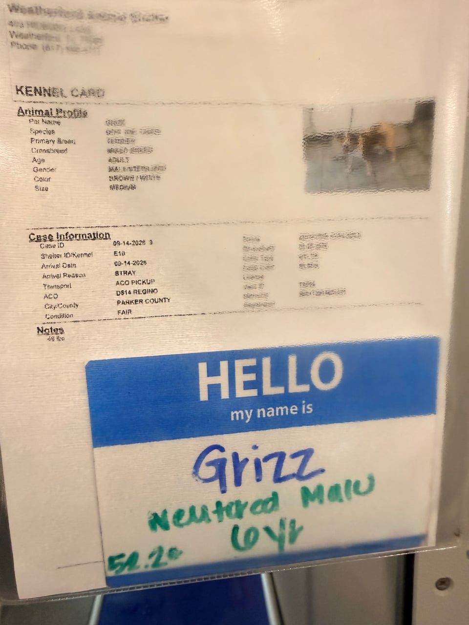 Additional photo of GRIZZ