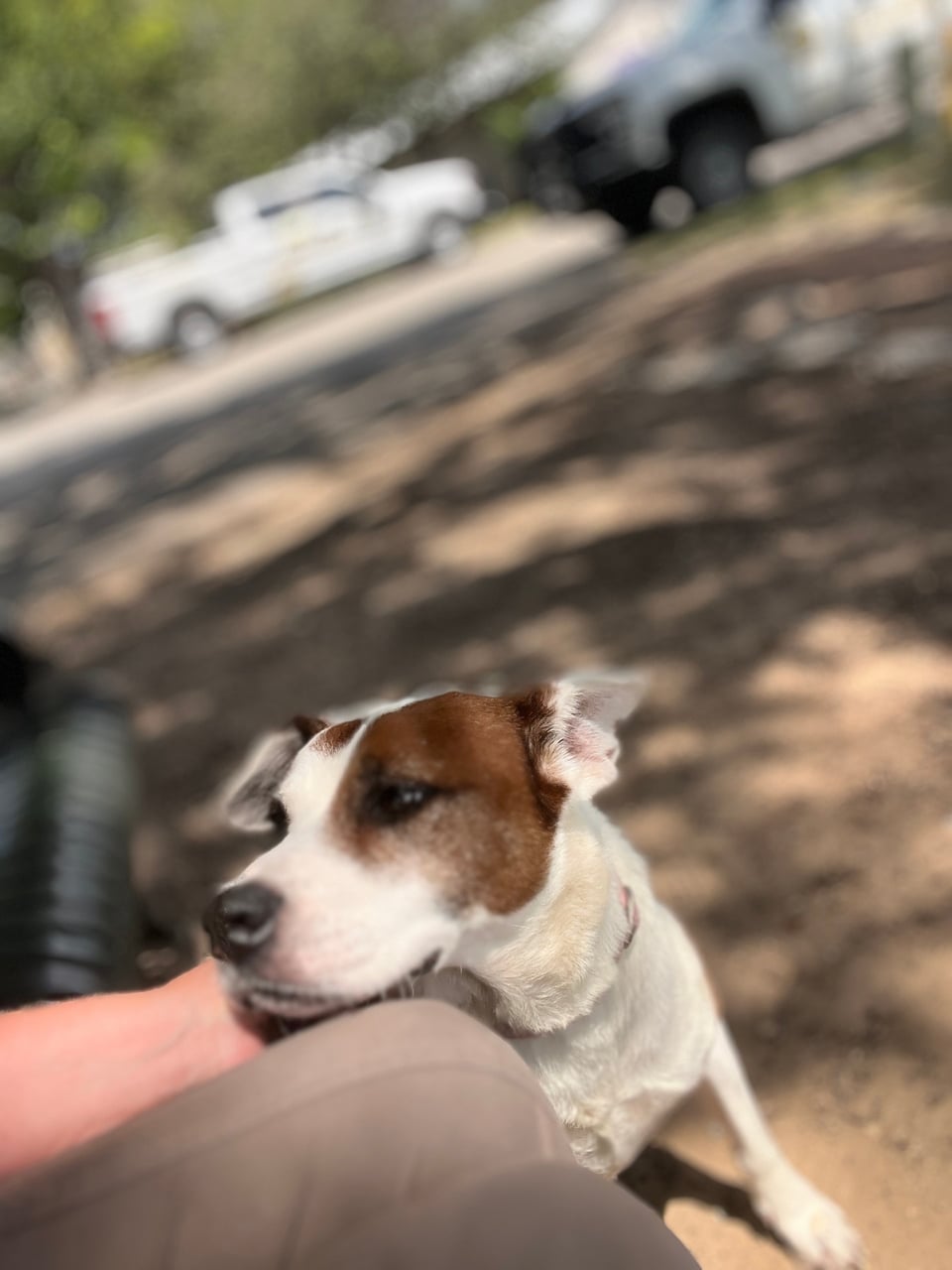 Additional photo of DUNCAN