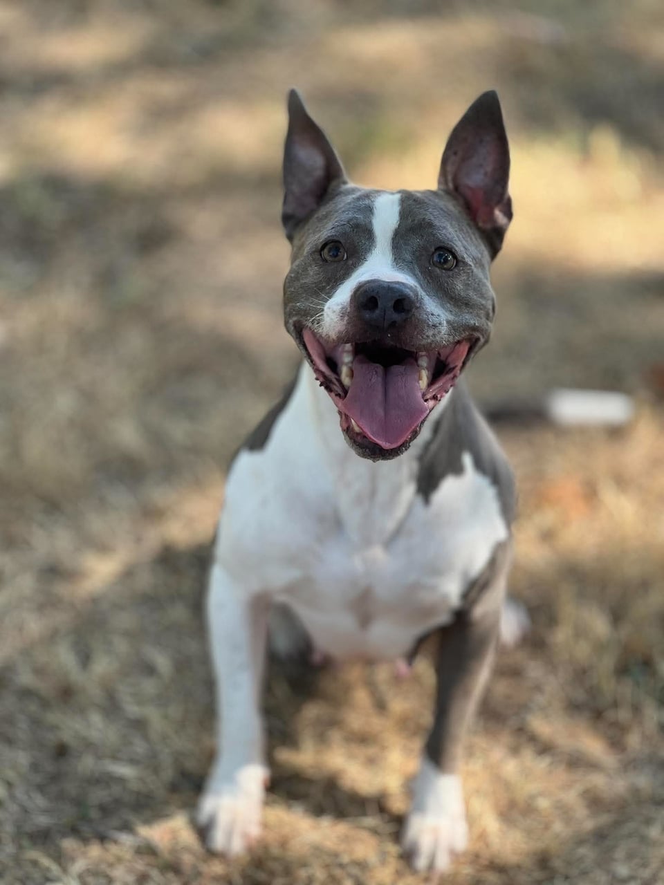 Additional photo of ROXY