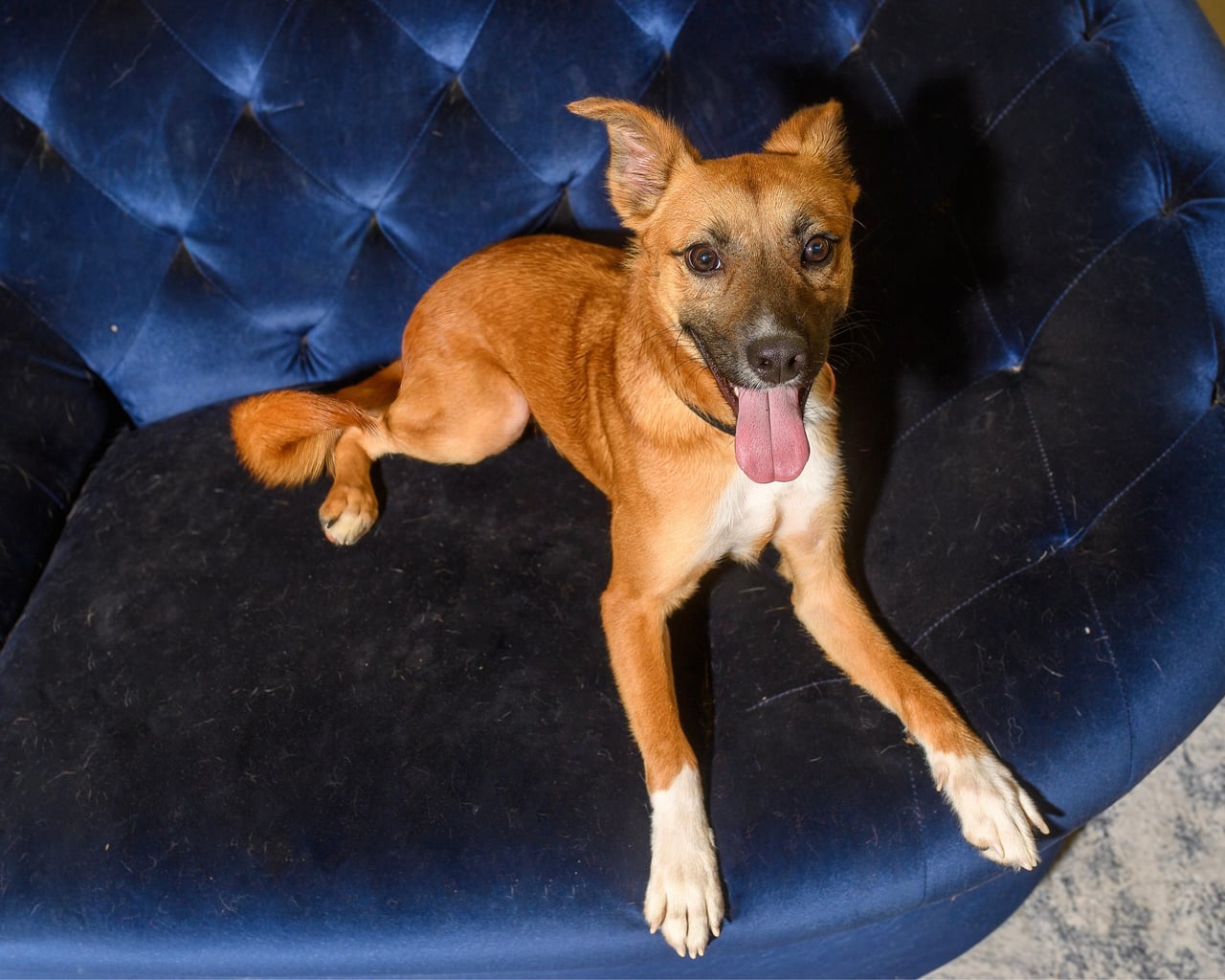 Additional photo of RUBEN