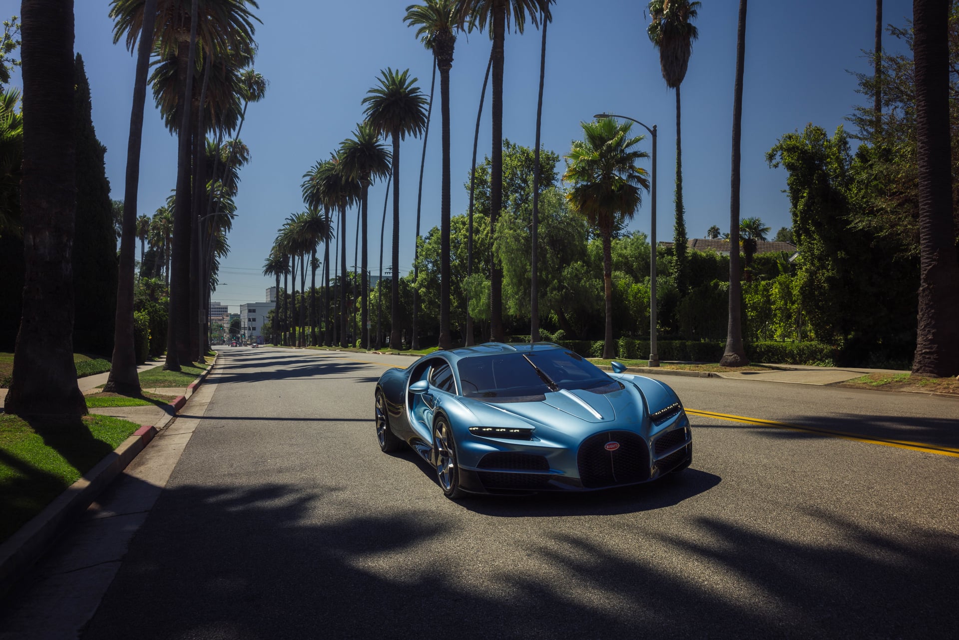 Tourbillon palm trees