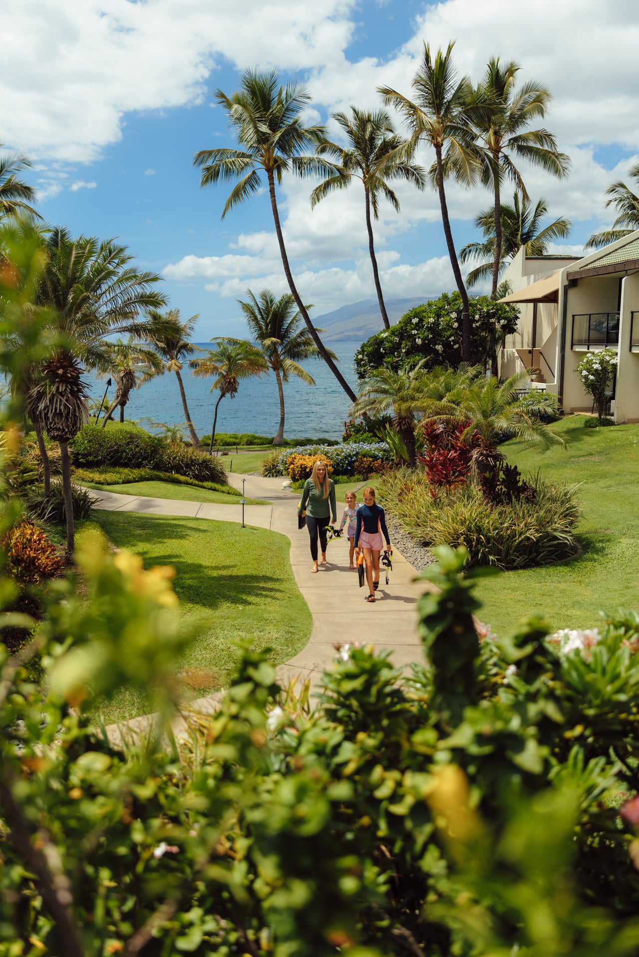 Mountain biking trail